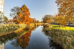 Avenue Carnisse 125-34.jpg